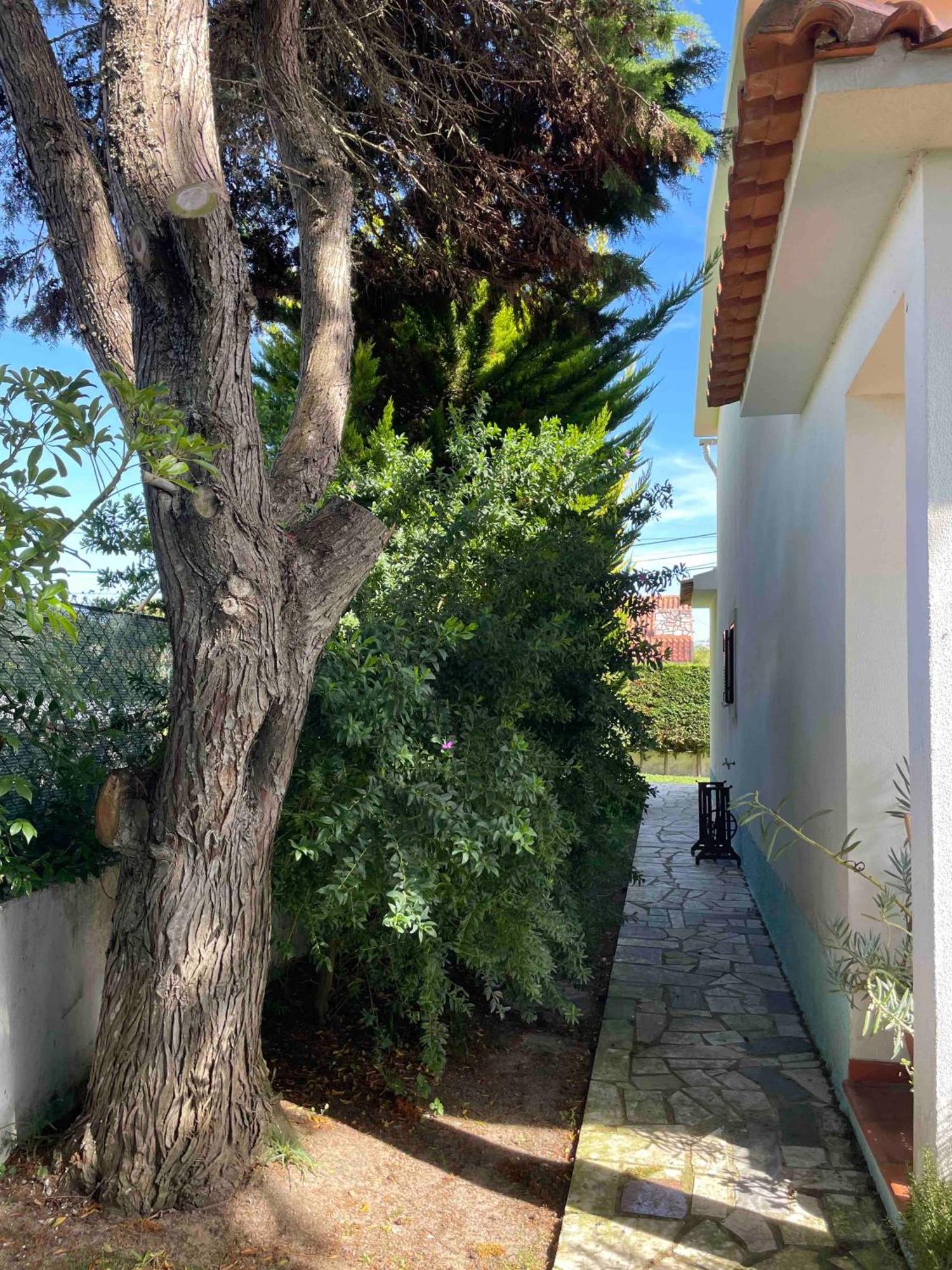 Santa Cruz Beach House Areias Exterior foto